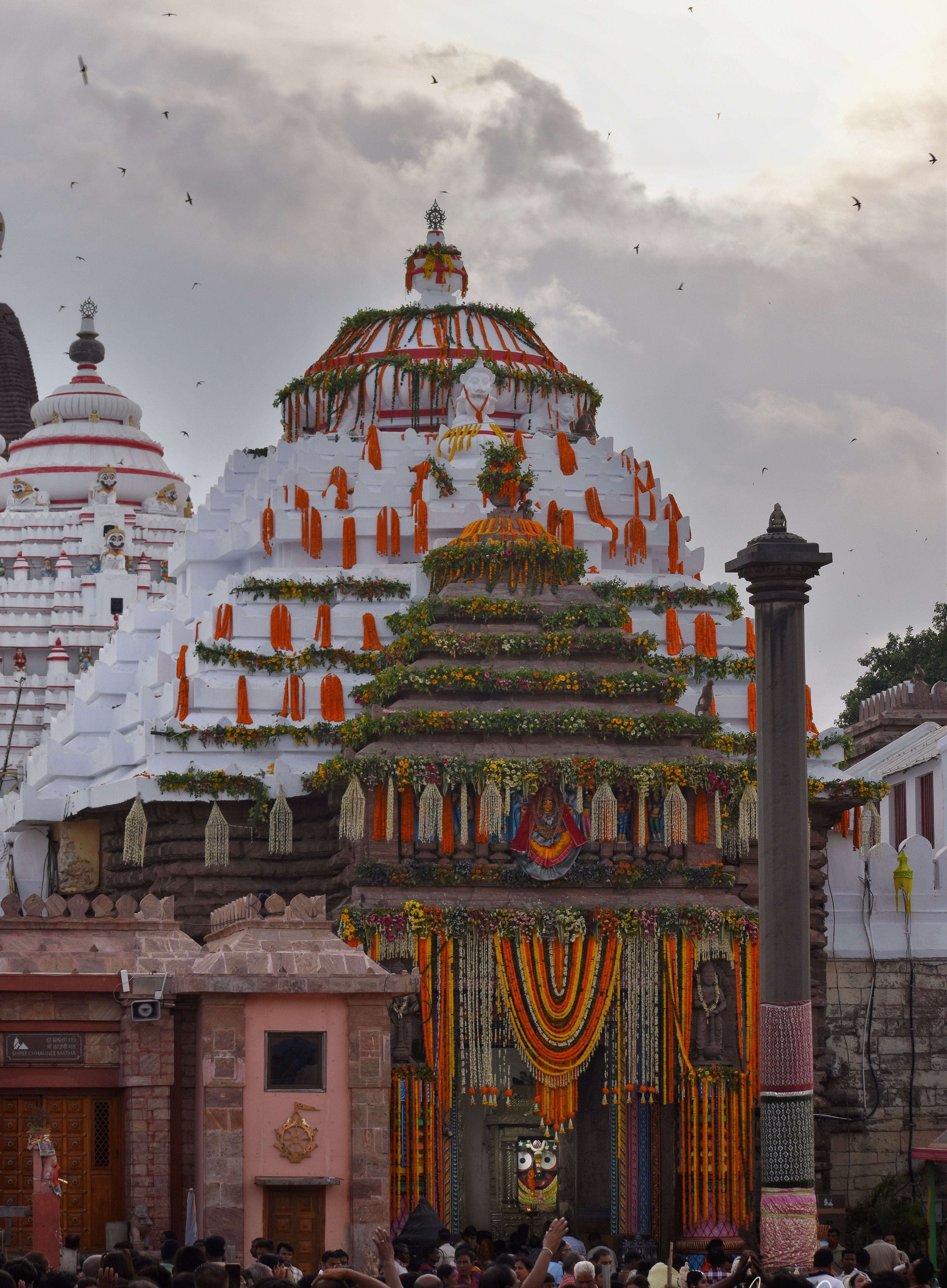 Jagannath Puri Yatra