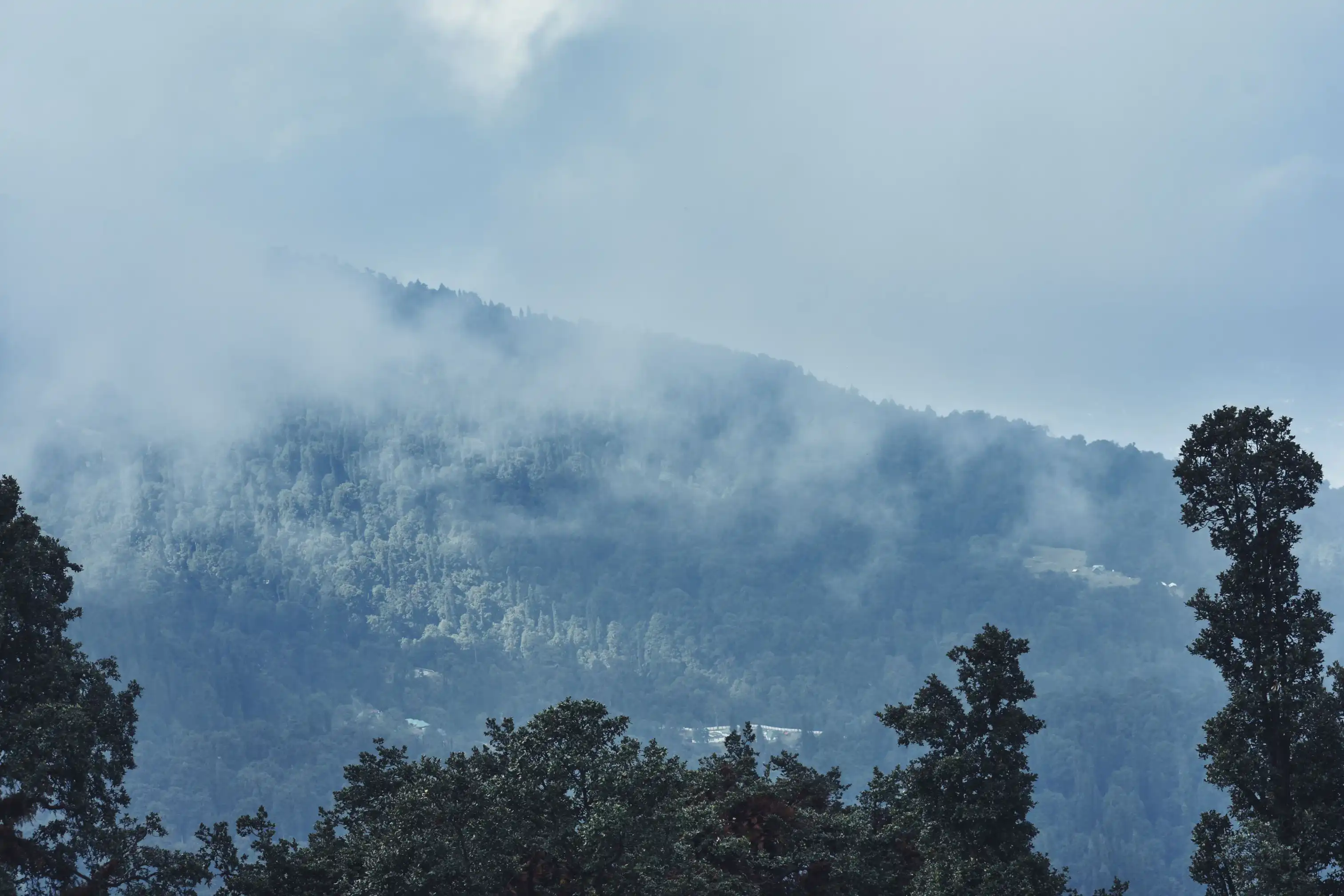 Manali Volvo Package