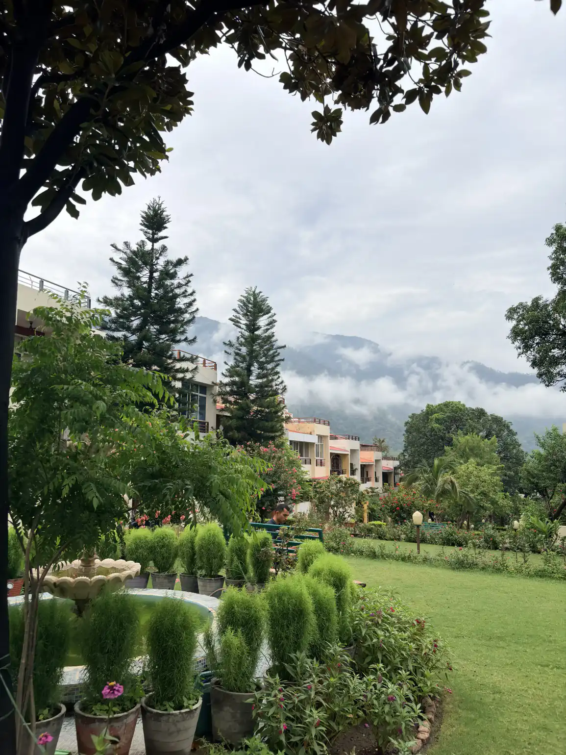 Resort garden with misty Himalayan mountains